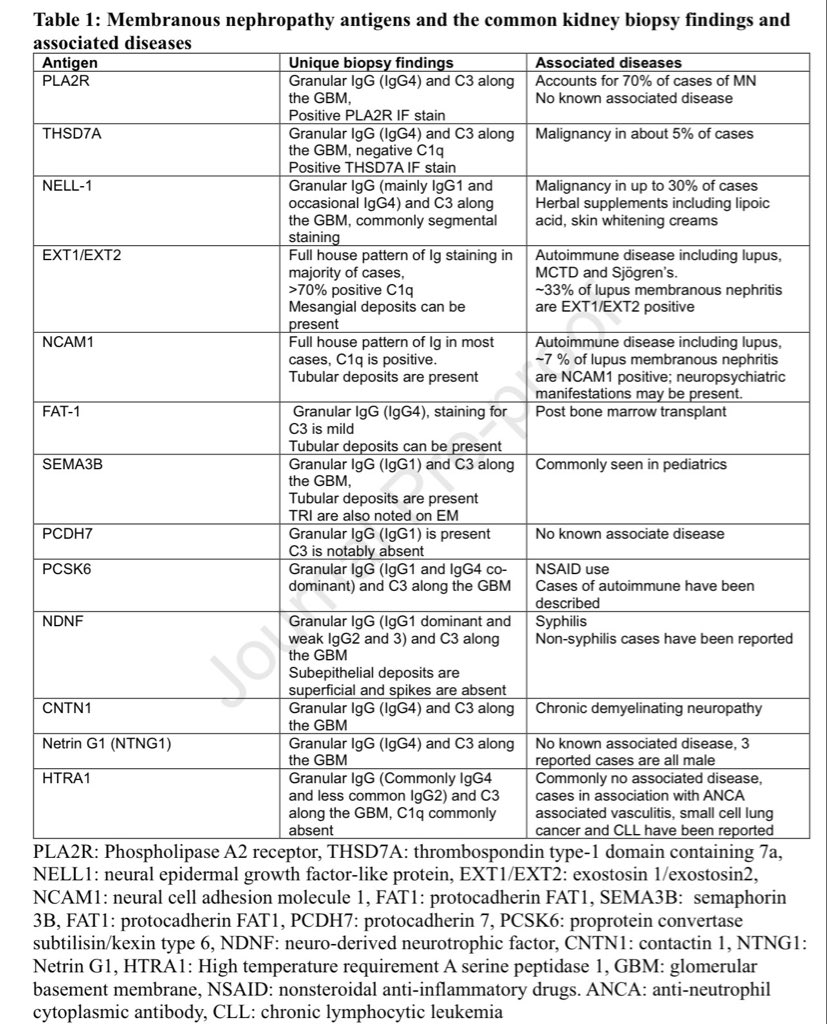 hardik4u24's tweet photo. 💥Membranous Nephropathy: Expanding Antigen Map 🗺️

🔬Distinct biopsy clues &amp; disease links redefine MN diagnosis 

🔗https://t.co/PR3W6U5RE9 🆕 

#NephTwitter #MN #Membranous #Nephropathy https://t.co/MnogudnXeM