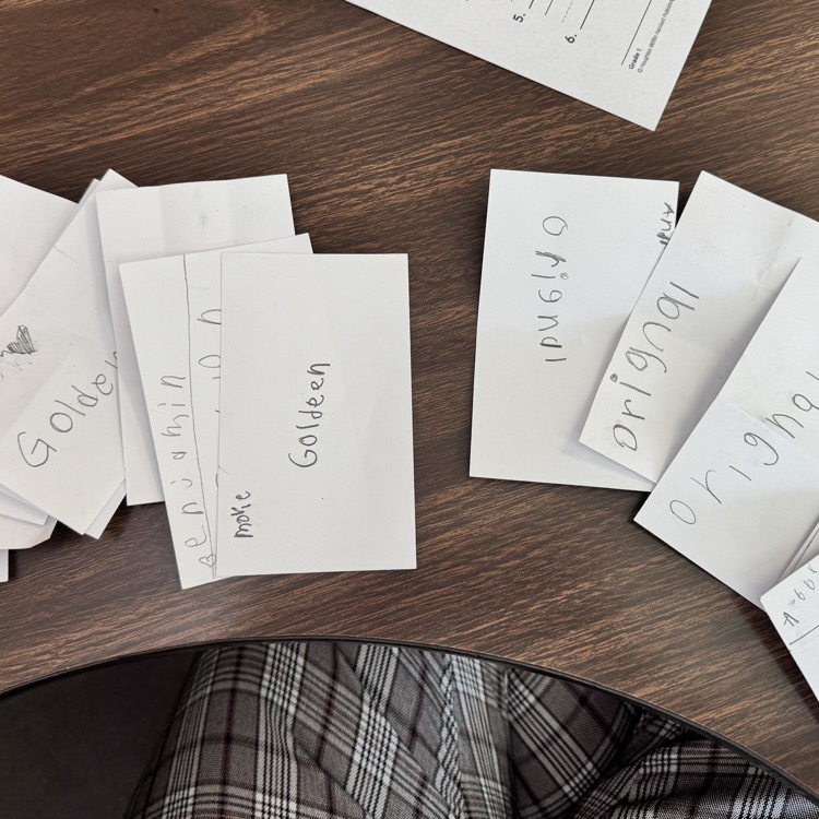 CCPSAGR's tweet photo. With Election Day tomorrow, Mrs. Childress’s 1st grade class practiced their voting rights today. 

They cast their votes on whether Golden Oreos or Original Oreos were the best. The ballots are in, and the winner is… Golden Oreos! 🍪✨ https://t.co/lVkXL26rfR