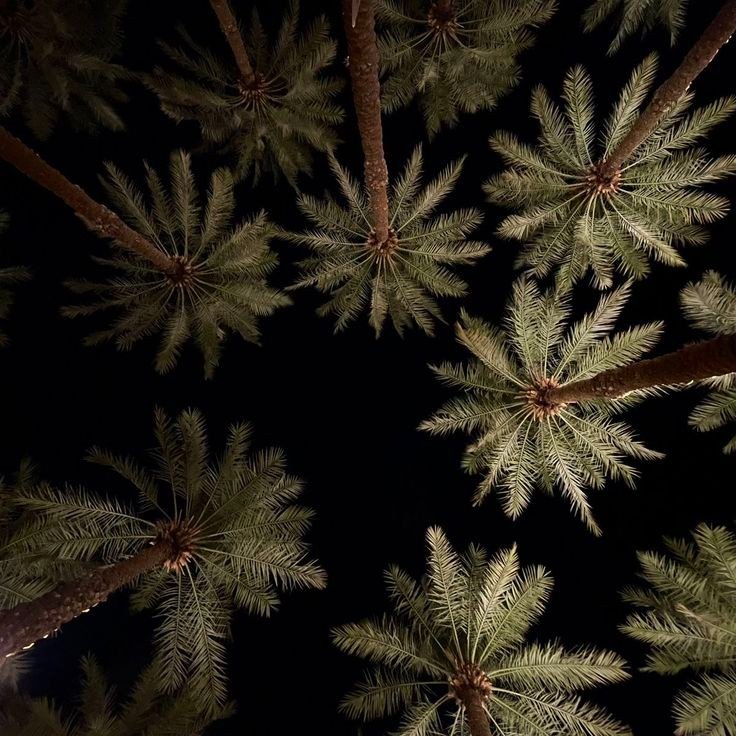 SAUDI IMAGE (@saudiic) on Twitter photo 