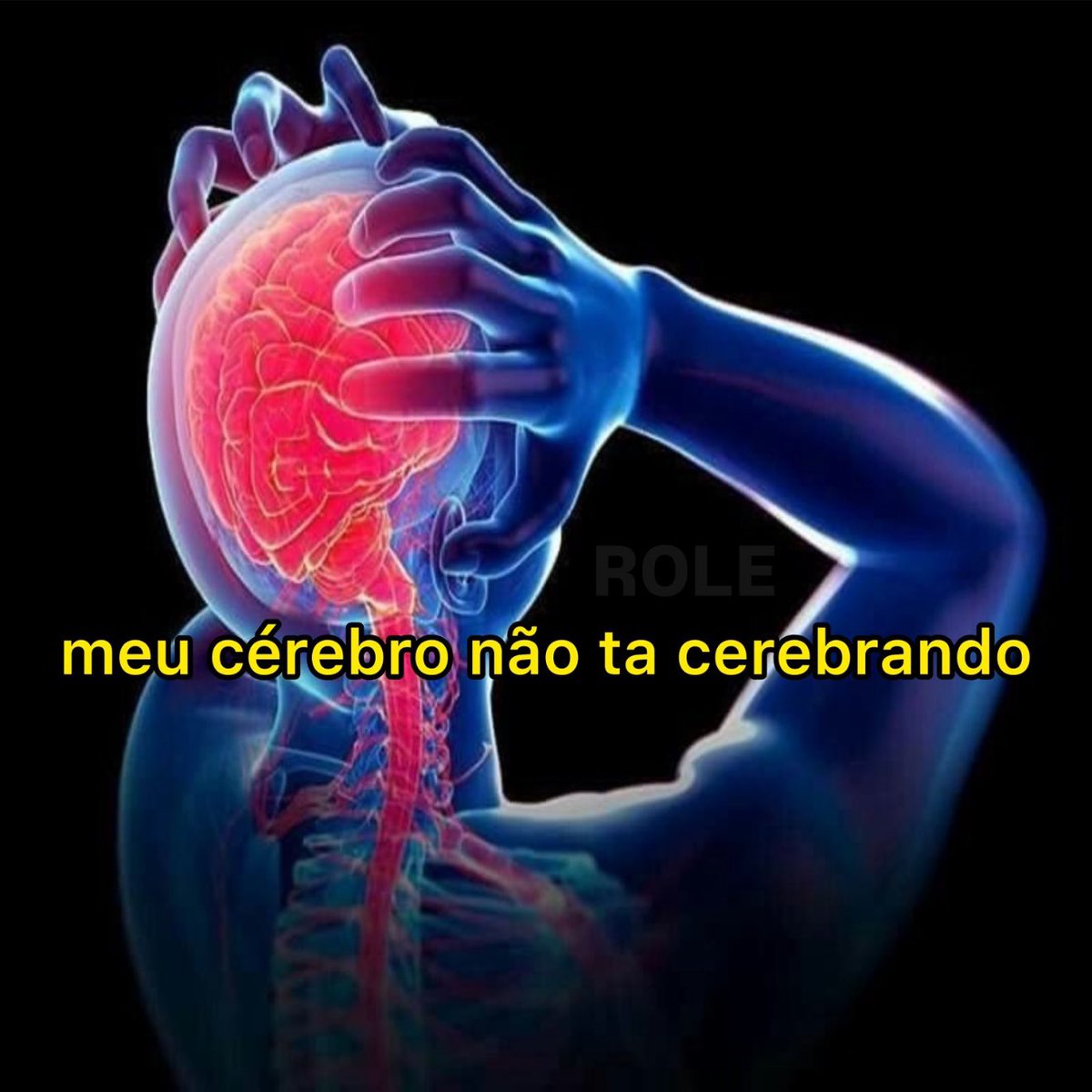 rolealeatorio's tweet photo. assim hoje https://t.co/RYgCp6z40c