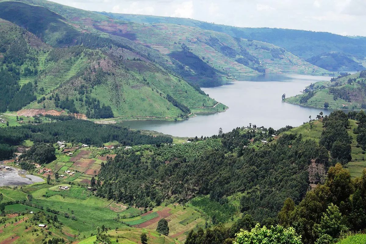AerolinkUganda's tweet image. Kicking off November with a spotlight on the profound quiet of #Bwindi. This ancient forest, home to the gentle giants and the serene beauty of #LakeBunyonyi, is almost spiritual in its calm. It’s a privilege to connect you to these places of peace via Kisoro Airstrip.