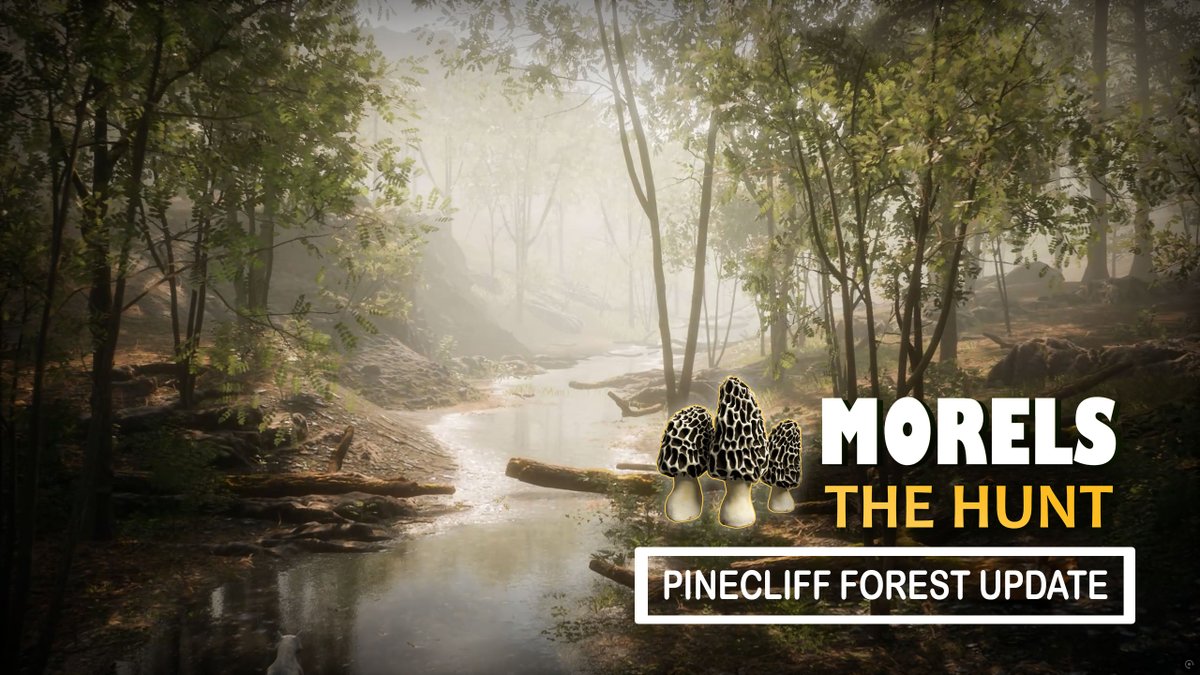 Morels: The Hunt 1 and 2 Updates Now Live in Celebration of the Release of Bigfoot Life. The original Morels game features a new map in the update. store.steampowered.com/app/1156590/Mo…

Both games are also on sale this week!