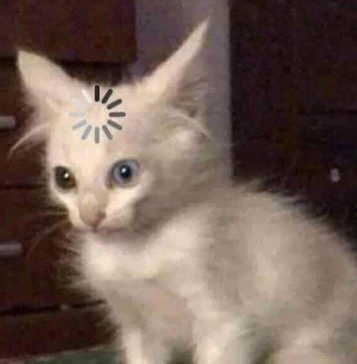 Okuldan eve gelince “15 dakika kestireyim sonra kalkar çalışırım” deyip gözümü 3’te açınca ben: #yks2026