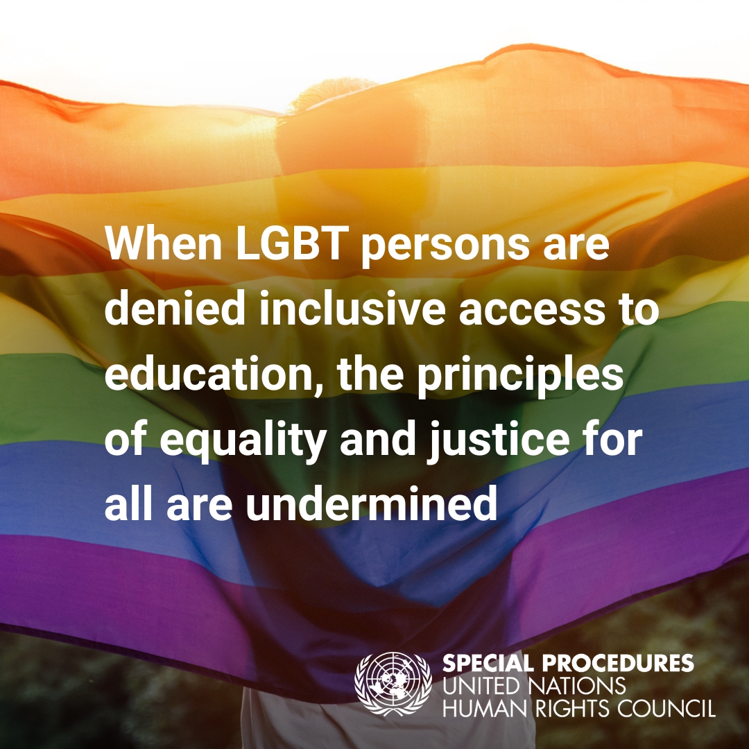 UN Special Procedures tweet media