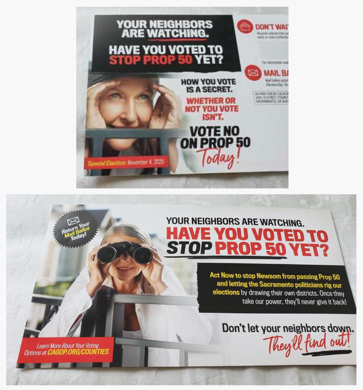 THIS IS WHAT DONNY IS SENDING VOTERS: "VOTE MY WAY! YOUR NEIGHBORS ARE WATCHING!" PATHETIC AND UNAMERICAN. HE'S SCARED. HE KNOWS HOW THIS ENDS. THE GAVIN DEFEATS THE DONALD. THE HANDSOME PATRIOT DEFEATS THE FLABBY FASCIST. THICK HAIR DEFEATS A YELLOW BIRD'S NEST. THE LAW CRUSHES