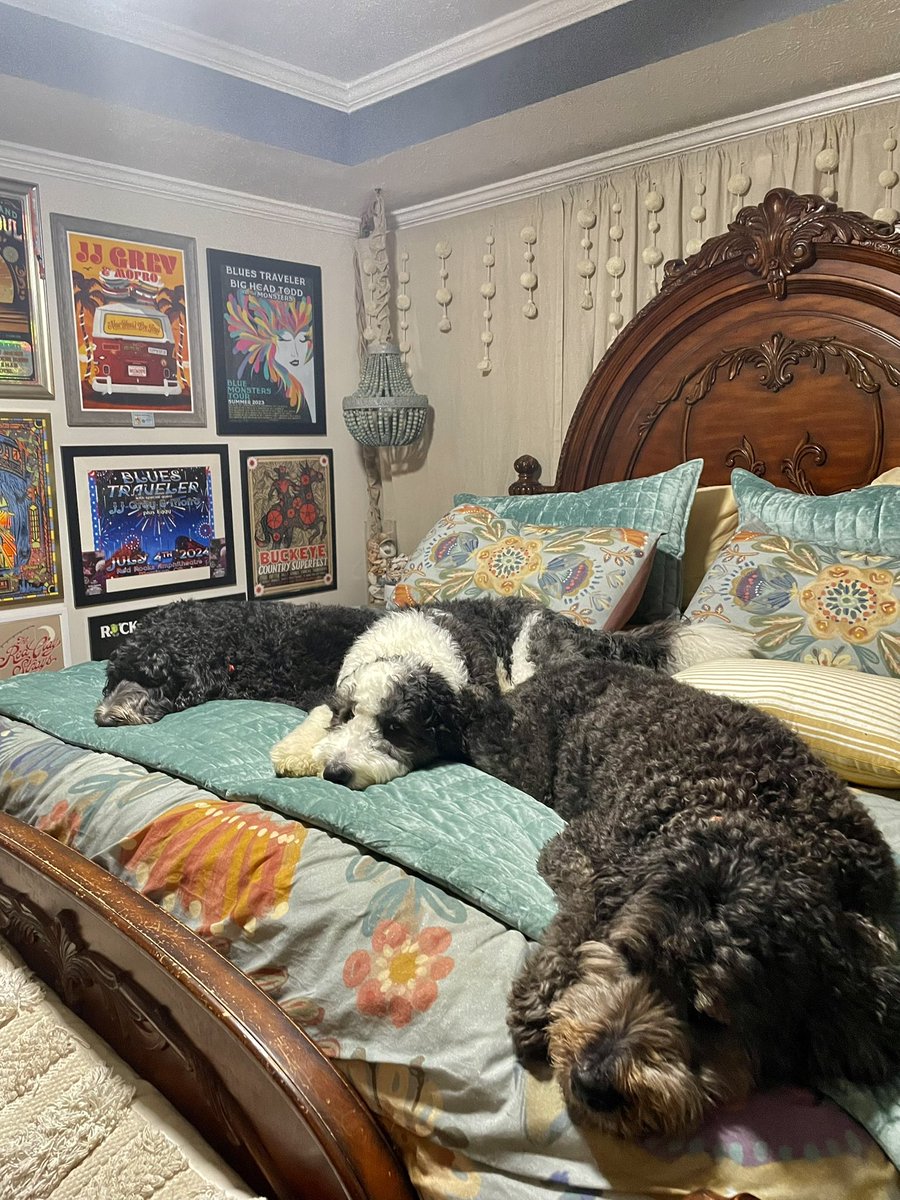 Bobby Hatfield tweet media