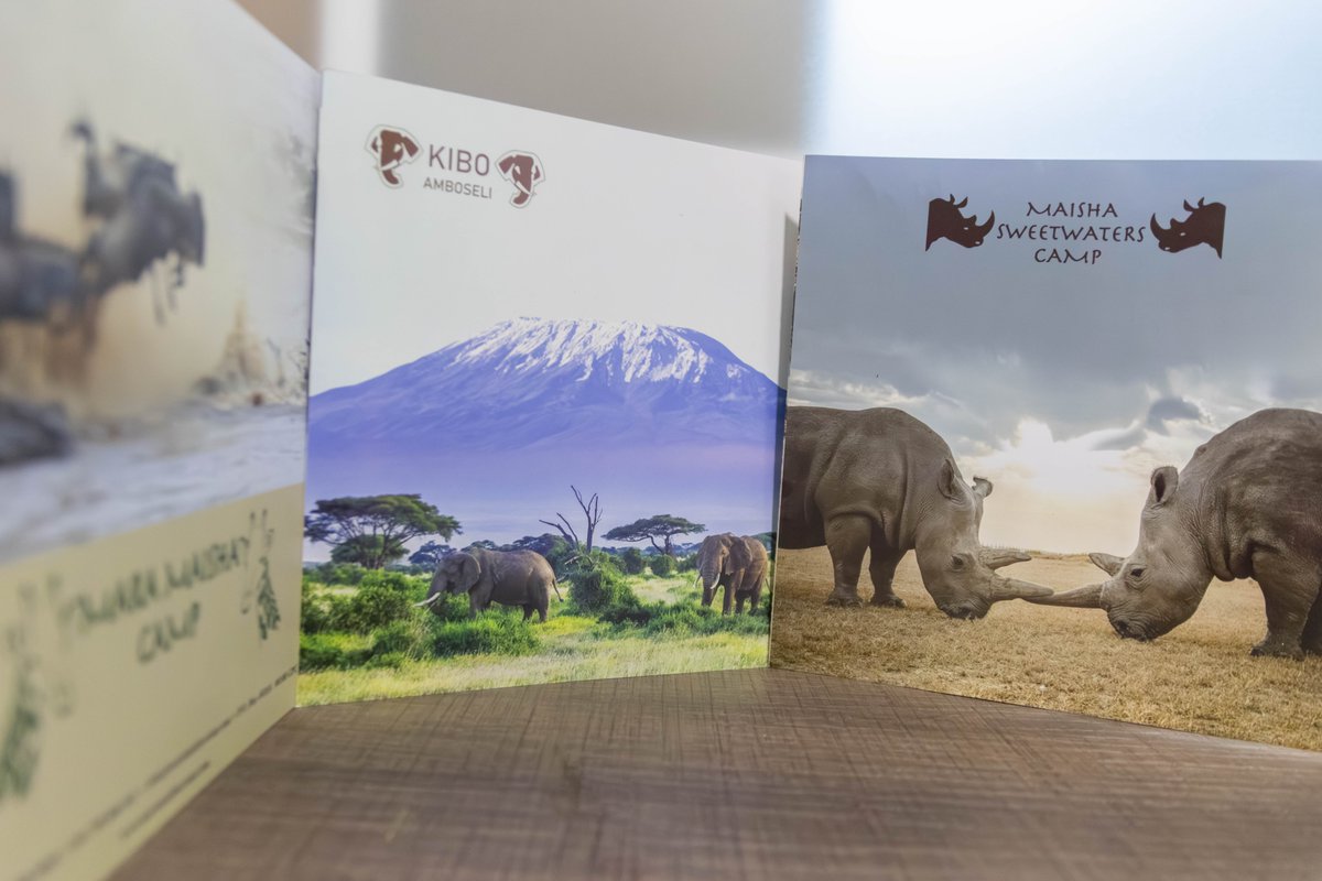 staybookedco's tweet image. #staybooked