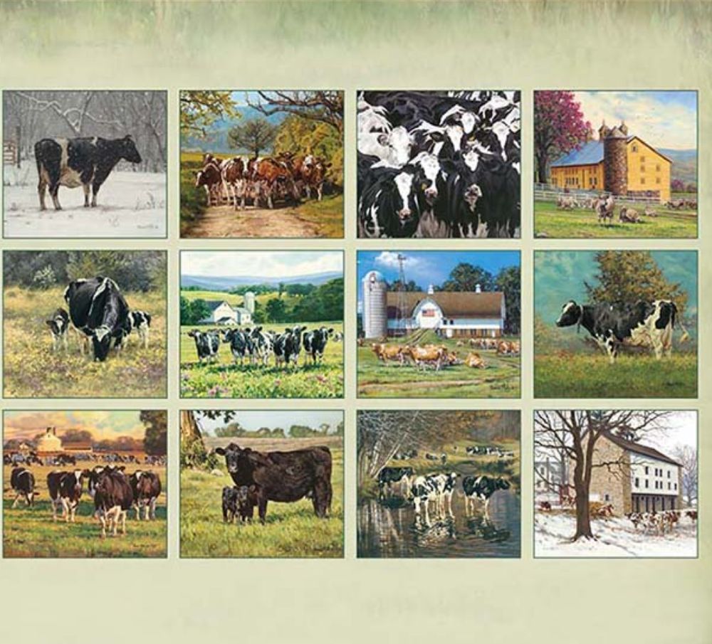 JacolinePeek's tweet photo. Koeienkalender 2026 en 10% korting op prints - https://t.co/pa4nq7KLET https://t.co/6lpJw0tgSL