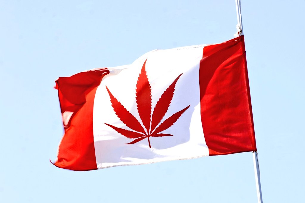 JudithRenaud's tweet image. #EFSDP &apos;Oh Canada&apos; Legalization of #cannabis October 17th, 2018.  Now? Legalize ALL drugs. Regulate.  Educate.