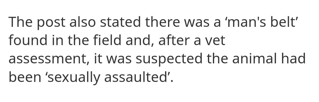 Because she lives in a small village where migrants haven't been dumped yet, she calls it lies.

The small village of Wachfield seen hundreds of Afghans dumped secretly overnight by the government under the ARAP programme.

A donkey was literally raped. 

Yes, a donkey!