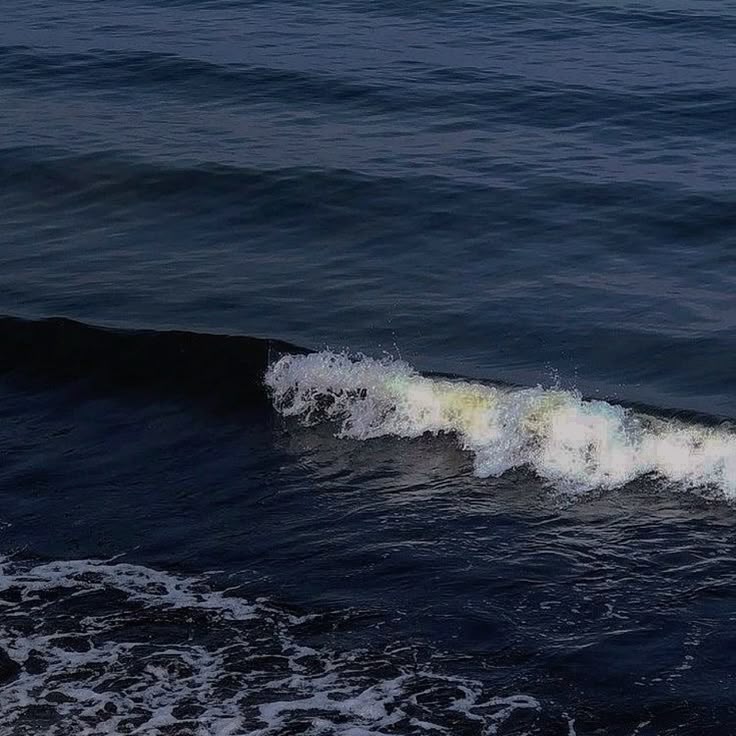 Blue. (@bluedreamvibes) on Twitter photo 