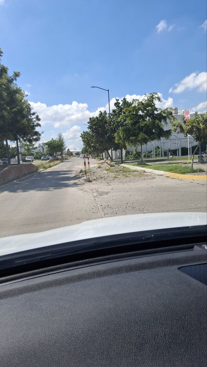ELSORPREDENTE's tweet photo. @siapagdl @JSTapetillo @Trafico_ZMG @GabyCardenas Uuuuuu tengo 5 meses y medio pidiendo que vengan a recoger algo que dejo el Siapa...y nada! Suerte!!! 
Ya hasta arbolitos tiene!! https://t.co/KQt2b6ODnv