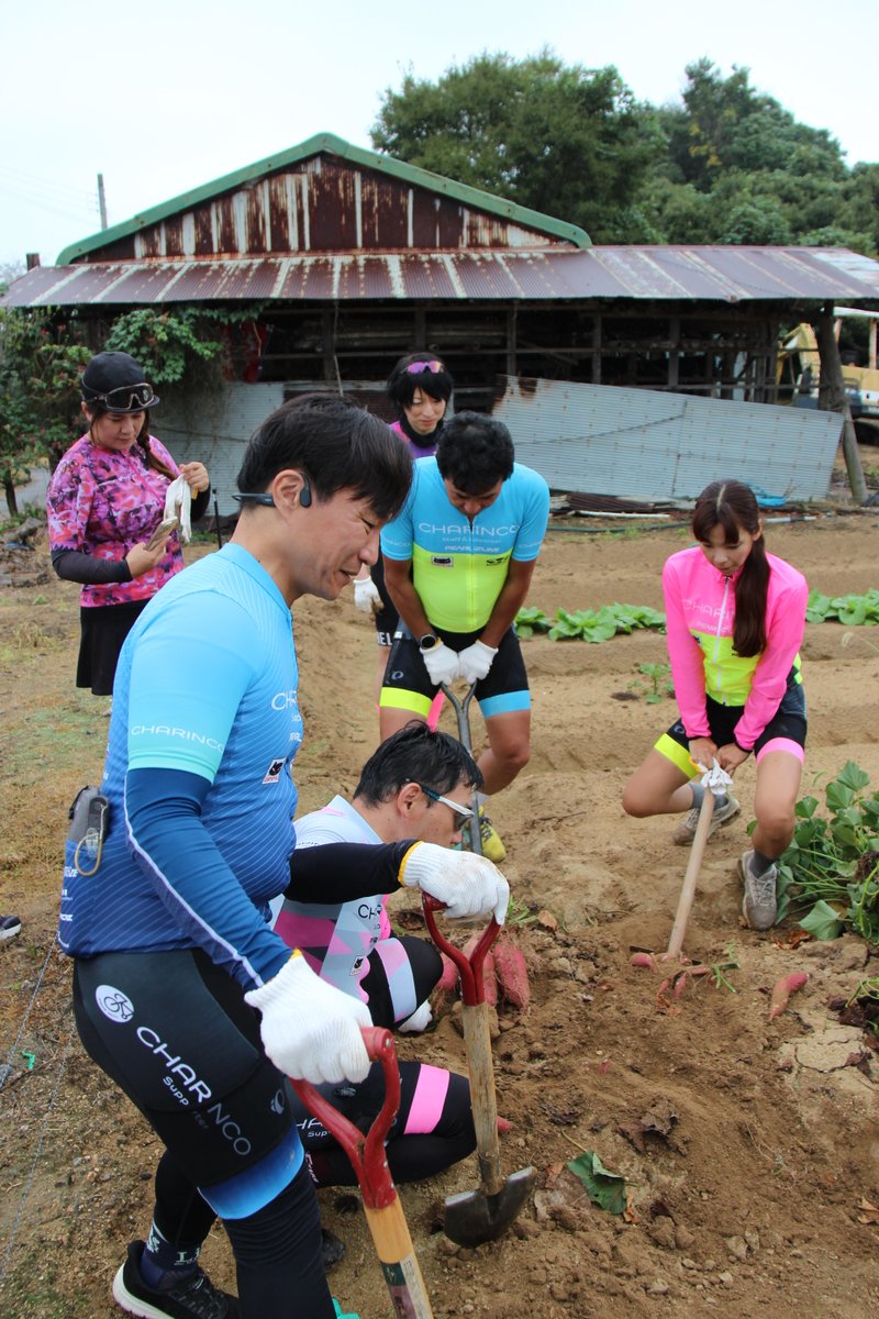 yacco様✨ yacco (@yacconeko) / Posts / X