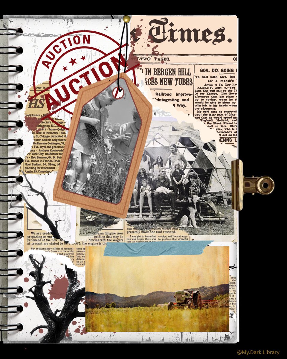 MyDarkLibrary's tweet image. We had a wild time visiting Harlowe, NH for our October read of THE AUCTIONEER by Joan Samson and lots of fun discussing the cyclical nature of all things. Even though this was published over 50 years ago, the message of THE AUCTIONEER remains as poignant as ever.