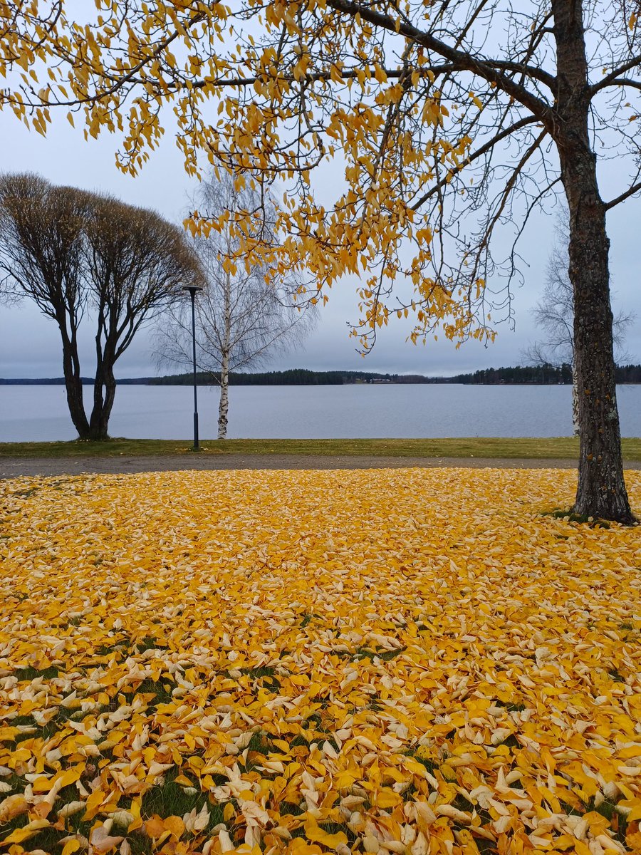 No kivan päivän voi viettää yksinkin. Otin äkkilähdön Sotkamoon. Kävin kaupoilla, lounaalla ja lenkkeilin satamassa ja Hiukassa. Sotkamo on kyllä kiva paikka.