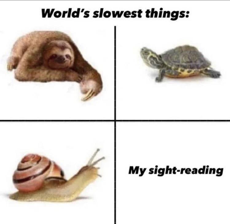 teds_list's tweet image. #pianomemesig #MusicMemes #PianoHumor #pianomemes rfr.bz/ta76d30