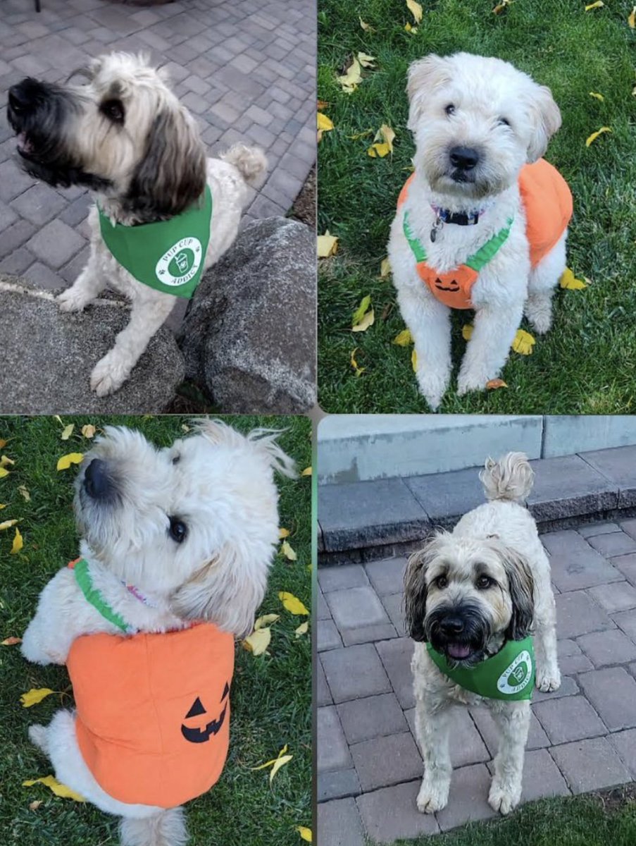 Pickens Tech tweet media