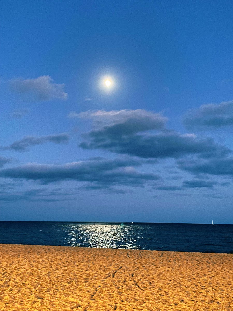 Lluna gelosa, avui tot és per tu,  la fúria de la mar guaita-la fosa;  ni un arbre es mou, ni una estrella llu,  tot és per tu, lluna gelosa.

Josep Maria de Segarra.