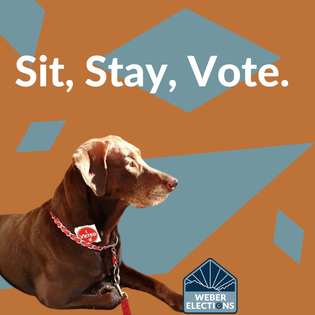 WeberElections's tweet photo. Ballots are due on November 4th by 8 p.m. Ballots must be in a vote center, Dropbox or election's office to be counted by 8 p.m. on November 4th.
#themoreyouknow #dogs #webercounty #weberelections #winninginweber #utahelections #electionsutah https://t.co/yVPHEZmSUe