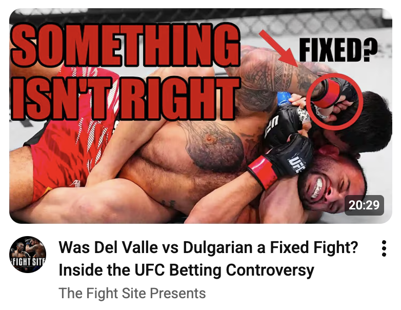 Some of my thoughts about whatever happened in the Del Valle vs Dulgarian fight.