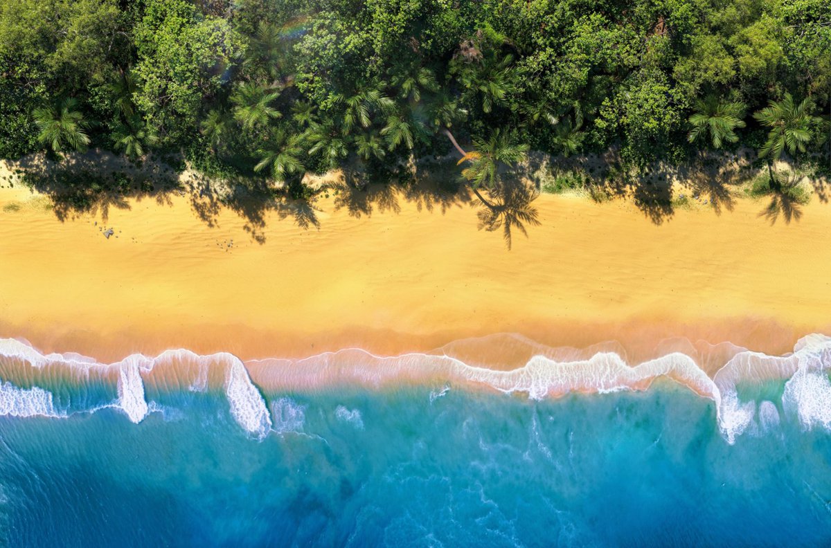 Behance's tweet image. Flags of nature by Paulo de Almeida 🚩 

See the full project on #Behance: adobe.ly/3LjfsaR