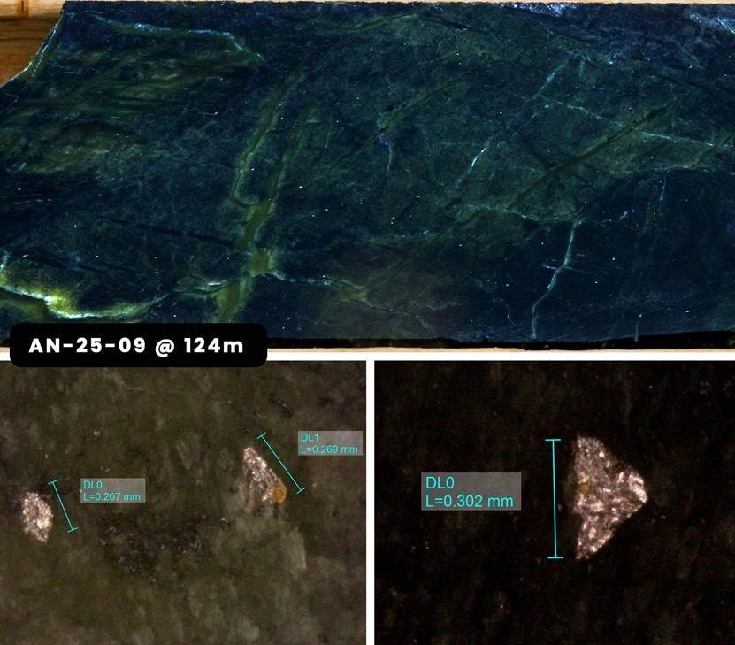 First Atlantic Nickel tweet media