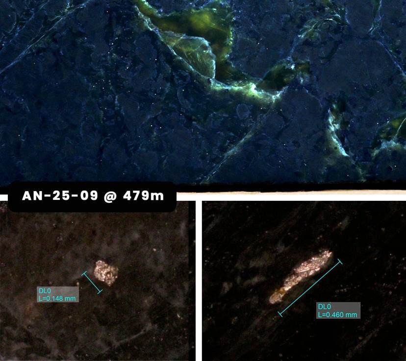 First Atlantic Nickel tweet media