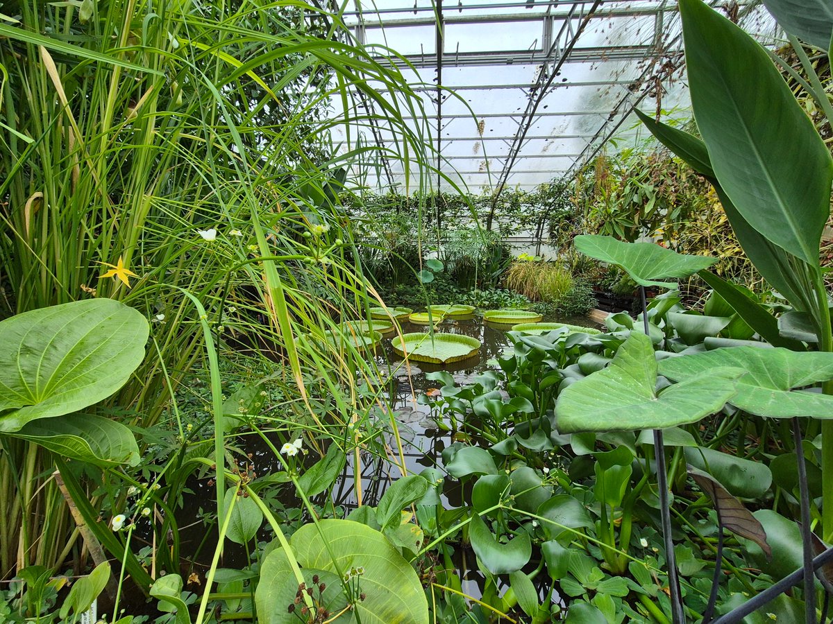 Darnells Ltd. tweet media