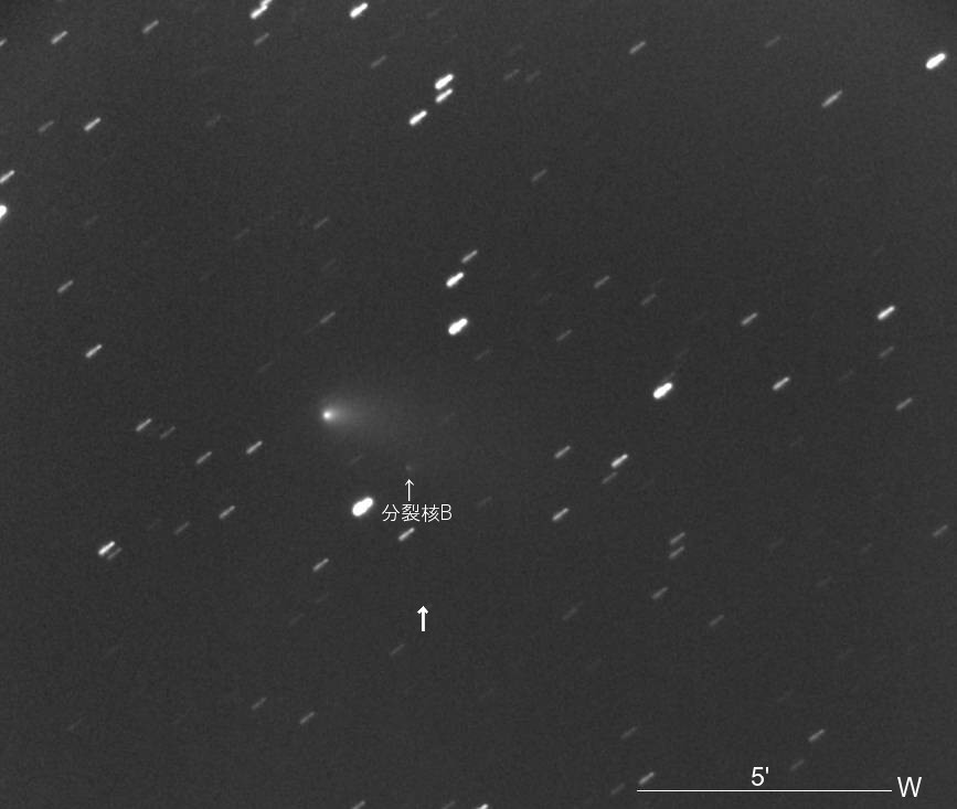 ほしぞらページ alpheratz on X