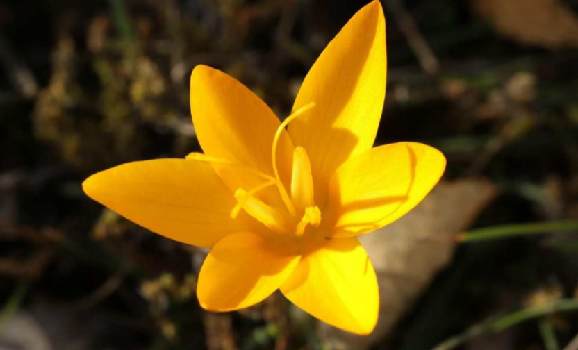 Tarım arazileri ve meraların ortasına 34 milyon tonluk maden atığı!
Koç Grubu ile AKP’li Nasıroğlu’nun ortaklığıyla kurulan DEFAŞ Madencilik tarafından Kırşehir’de açılmak istenen altın madeni için seçilen arazinin yüzde 80’lik kısmı tarım arazileri ve meralardan oluşuyor…
⬇️