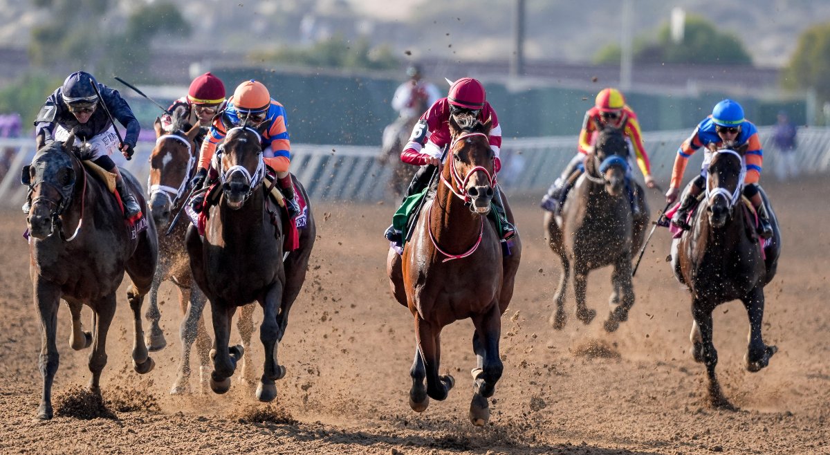 Fierceness and Mindframe are both heading to stud 💫

🏇 Fierceness retires to Ashford Stud with 7 wins, $5.78M in earnings for Repole Stable (14-7-2-2).
🏇 Mindframe joins Claiborne Farm, retiring with $2.05M and multiple G1 placings (9-5-2-0).

#Fierceness #Mindframe