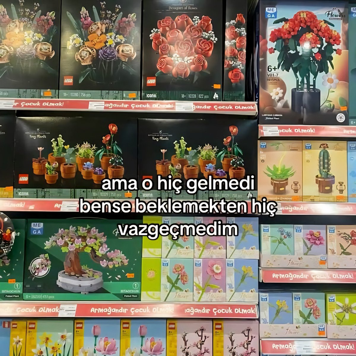 eylül, (@asikbeybi) on Twitter photo 