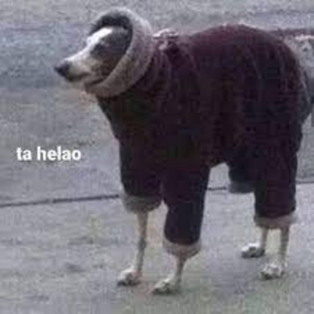 Quiero que sepan que los proximos 2 meses voy a ser este