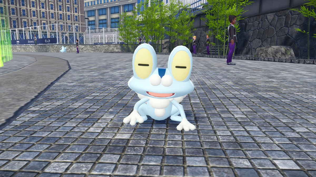 🐯DINKY🐯 tweet media