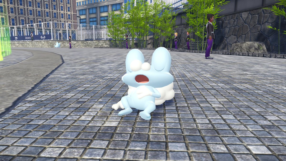 🐯DINKY🐯 tweet media