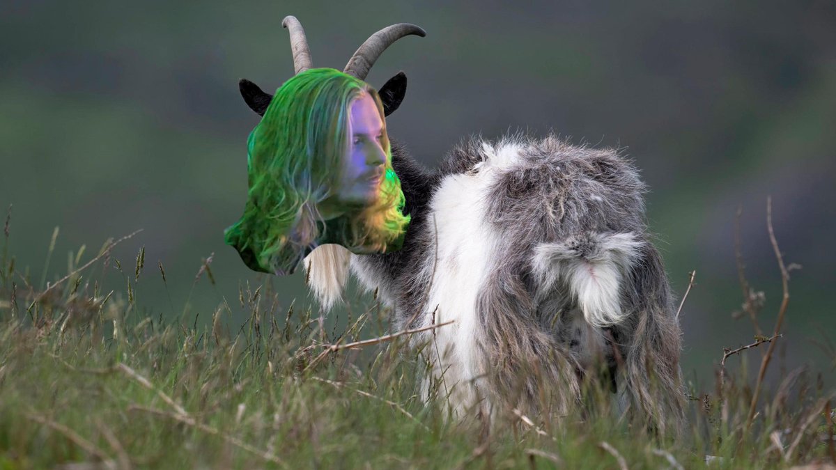 Earlhotdog tweet media