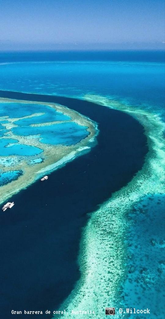 Gran barrera de coral, #Australia
#amazing