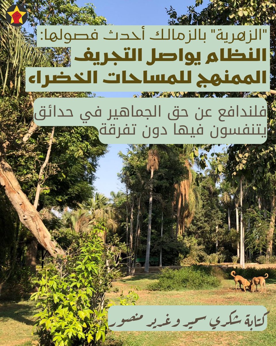 "الزهرية" بالزمالك أحدث فصولها:
النظام يواصل التجريف الممنهج للمساحات الخضراء
فلندافع عن حق الجماهير في حدائق يتنفسون فيها دون تفرقة
revsoc.me/politics/50621/