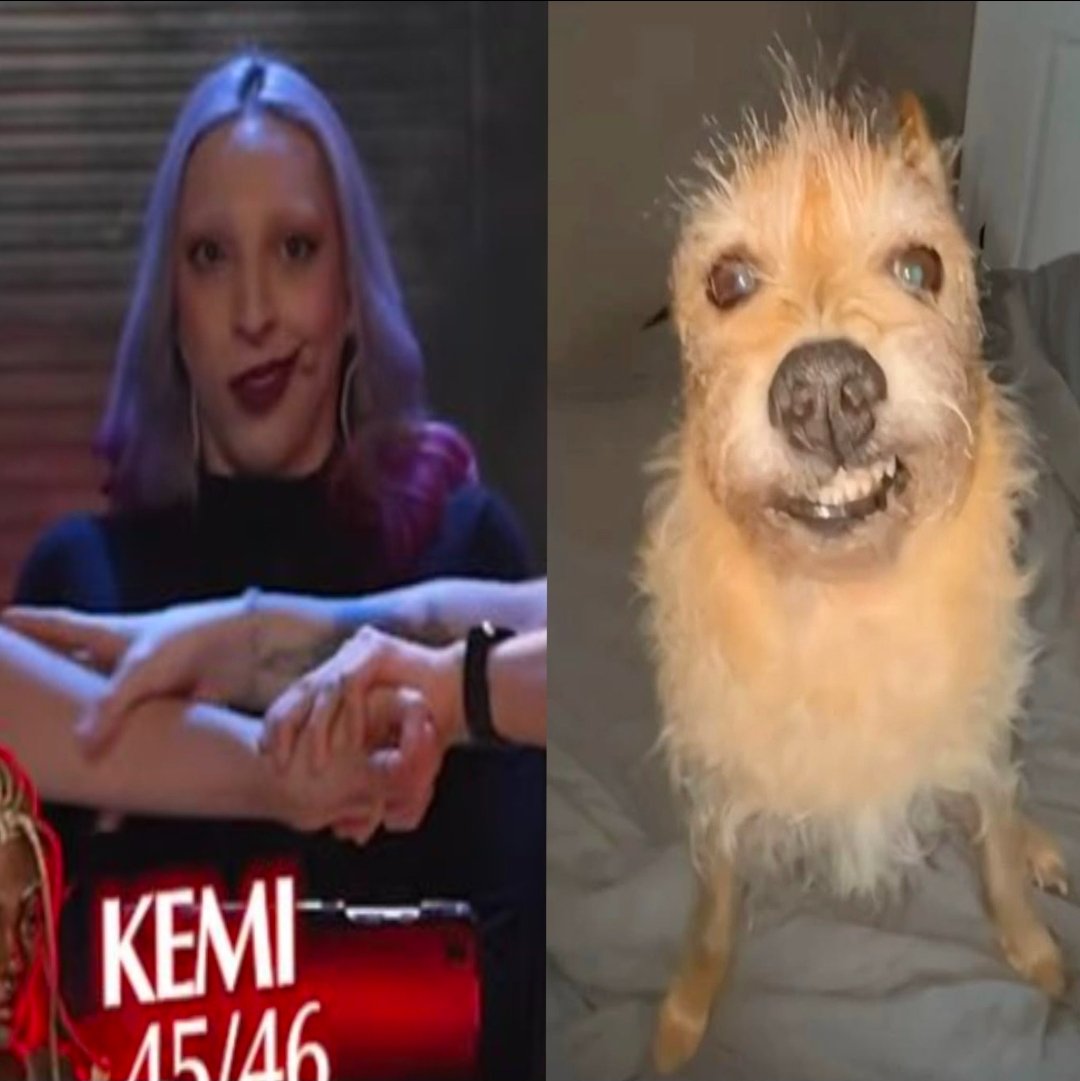 ste ! ☆ (@stezapzap) on Twitter photo 