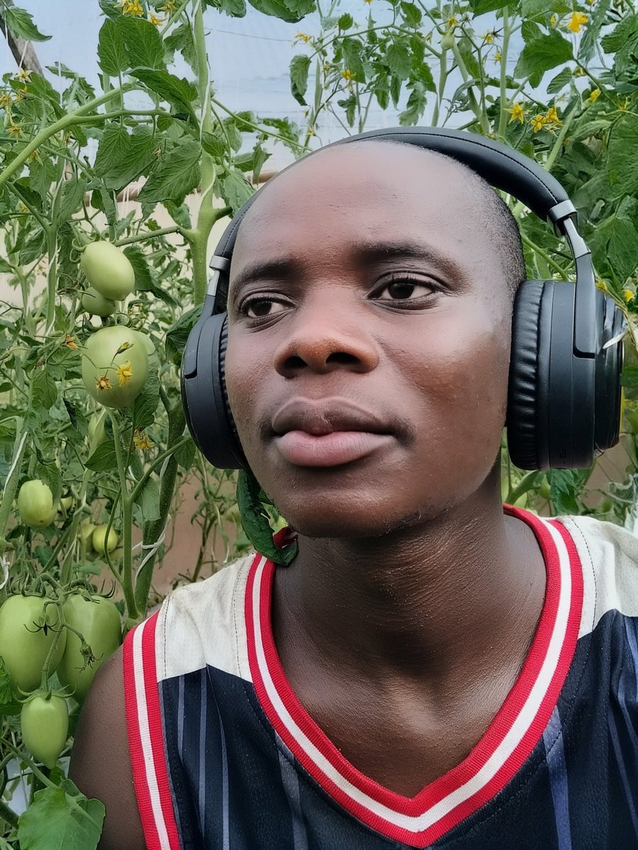 Medical school  🩺      Now 🍅