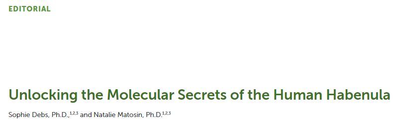 mindsbehindtheMINDS tweet media