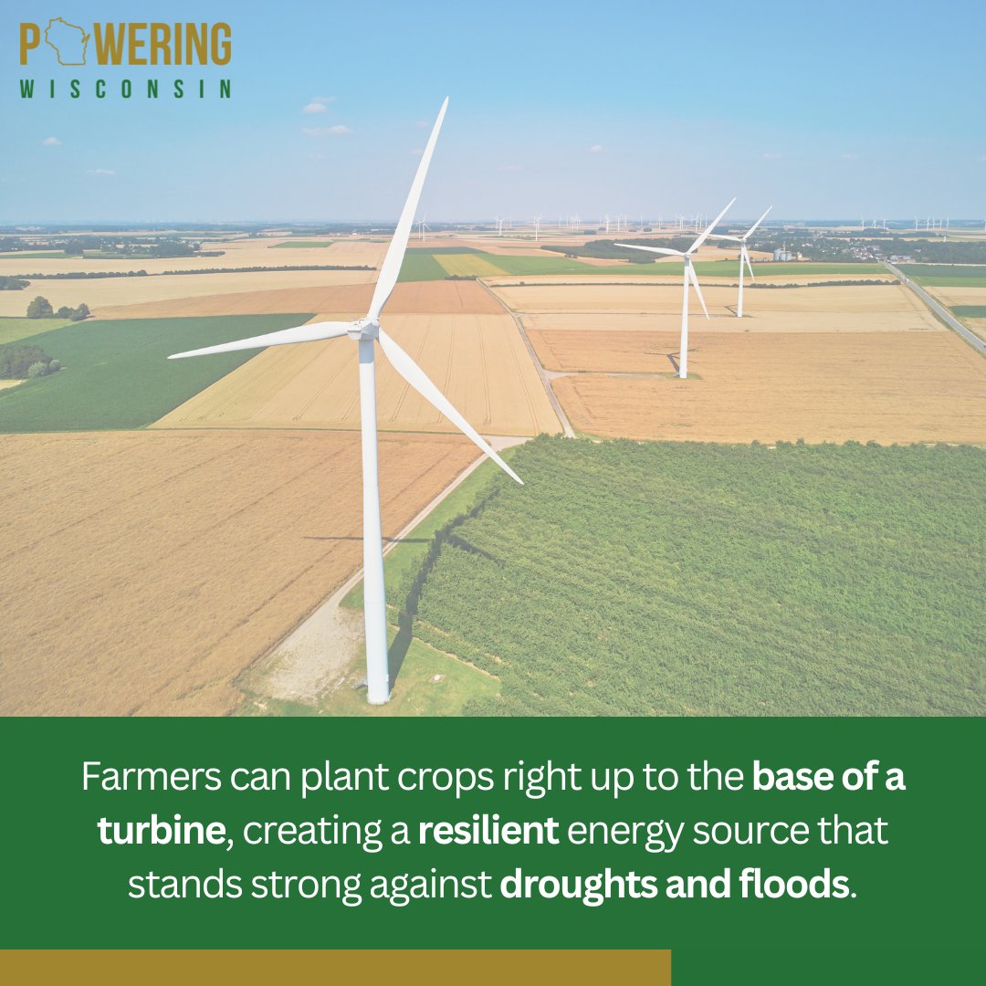 PoweringWi's tweet image. Wind turbines don’t just power homes -- they power growth. Farmers can plant crops right up to the base of a turbine, creating a resilient energy source that stands strong against droughts and floods.