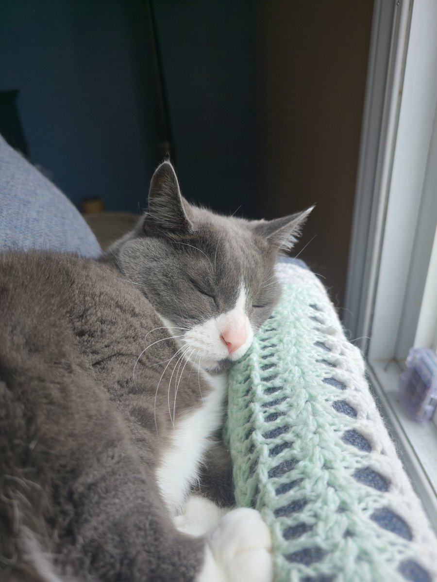 Would love to know where all my missing socks go. I did find a stray in my litter box. Thinking maybe the cat is behind it. I mean look at her lol