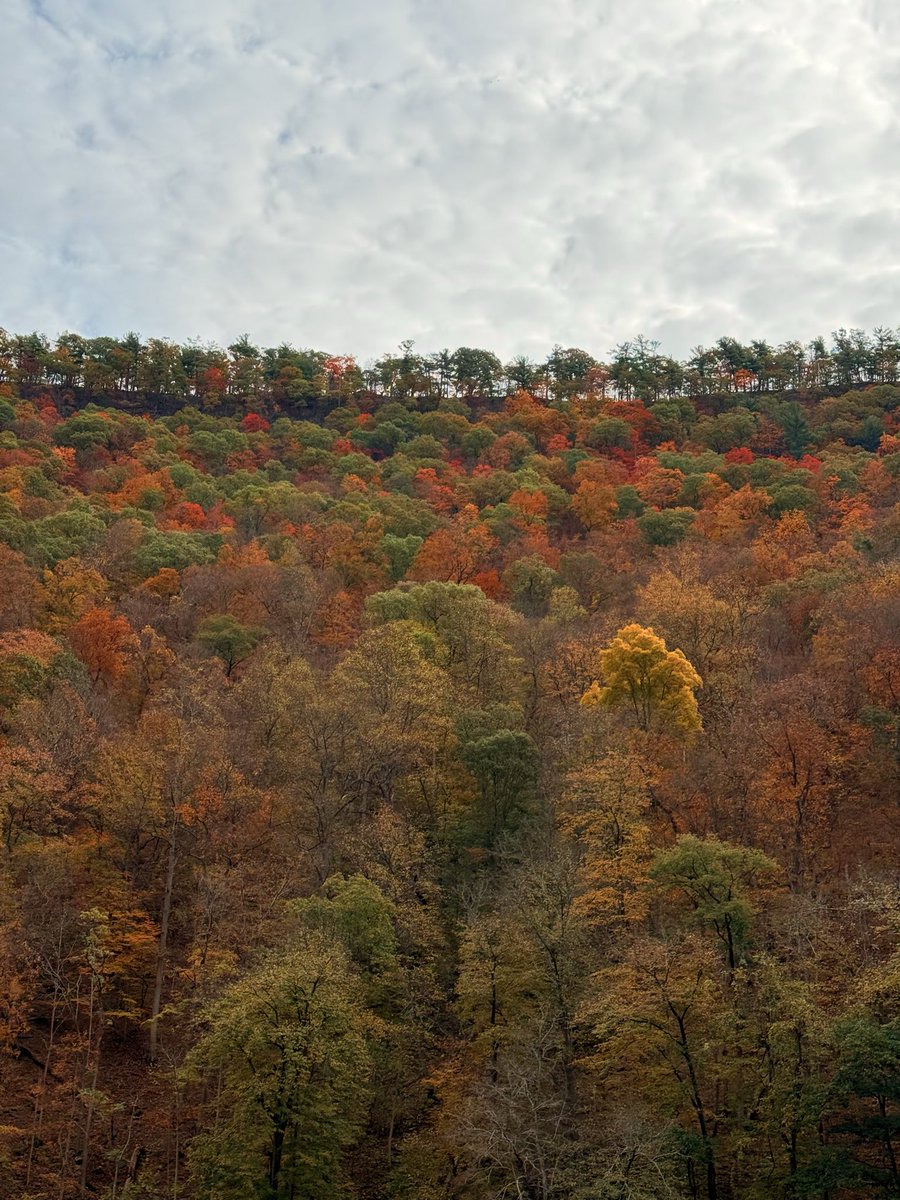 Red, orange, yellow… what a beauty it is to experience fall 🍂 ❤️ #UnitingOutWorld <a href="/ParticipateLrng/">Participate Learning</a>