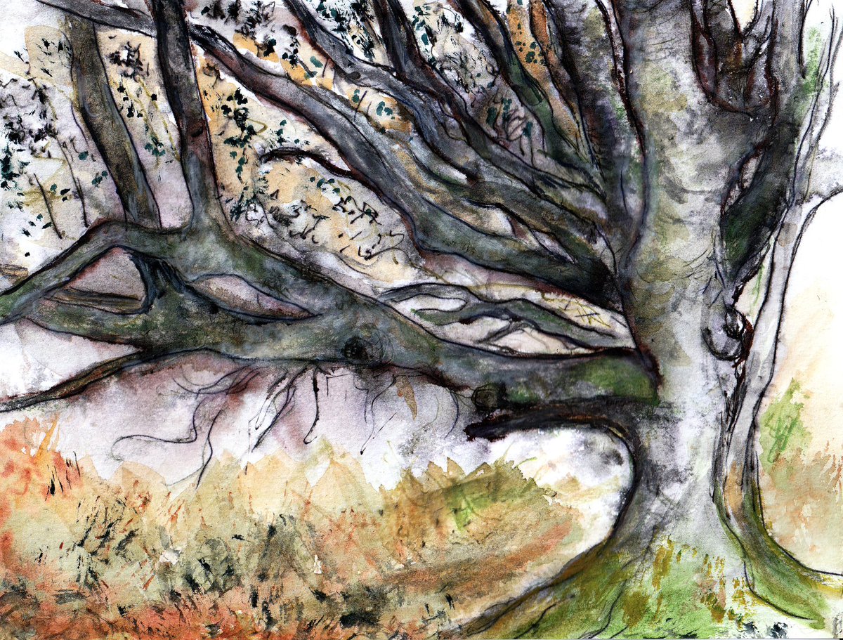 I’ve been away most of this week (mostly stuck in endless traffic congestion in the Midlands 🙄) This is a quick and messy effort from my Holly tree photo. #mycreativeweek