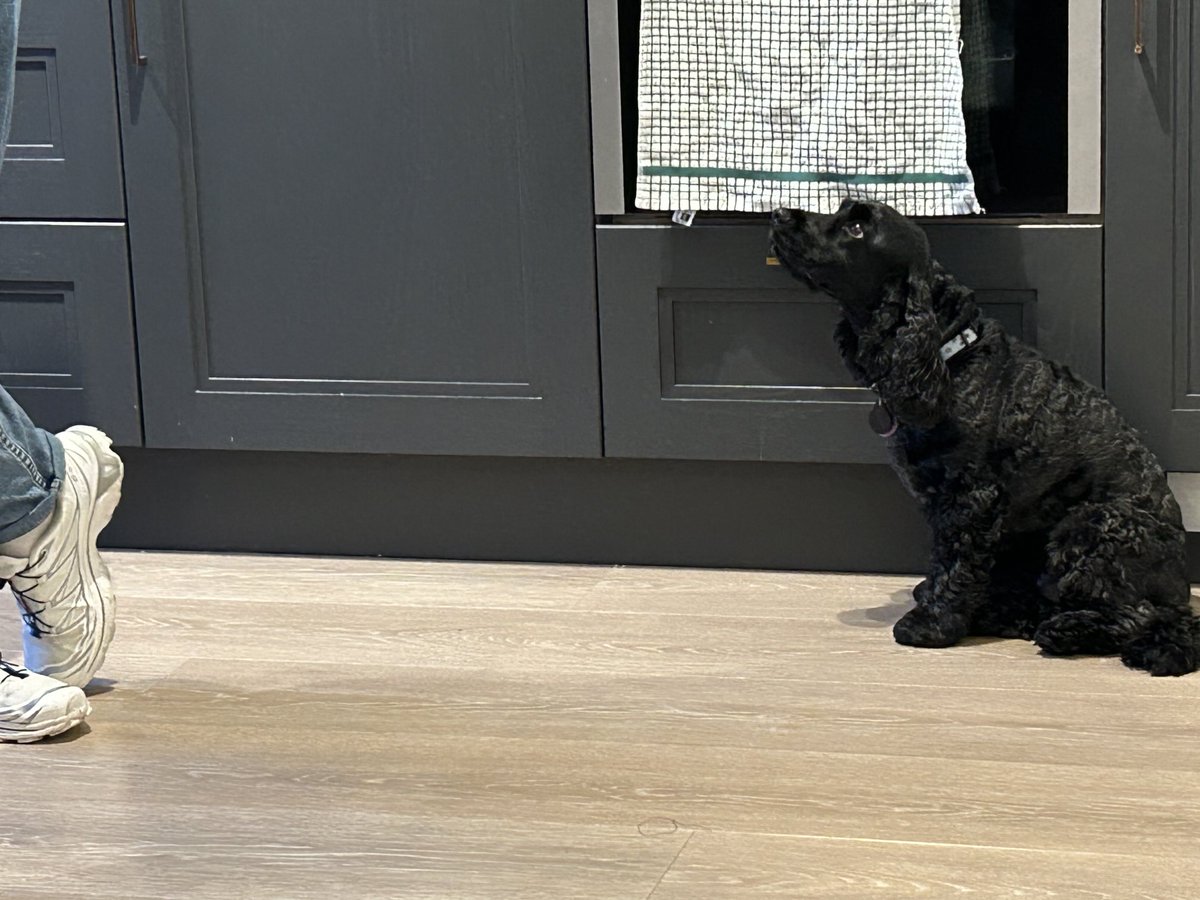 Hubro in law came to collect Phoebe &amp; Sam… 

He chatted with M&amp;D and happened to mention several details about my recent hollibops which I had chosen to omit 🤐 

What goes on tour stays on tour right?? 

Think he owes me some treatos to sort this slight indiscretion ??