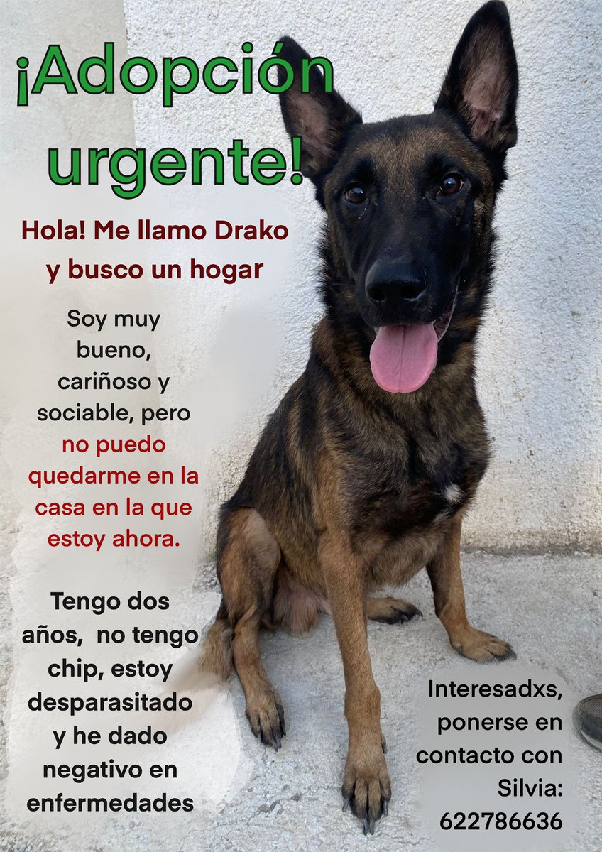 Azumi 🔆 (@mermelektra) on Twitter photo 