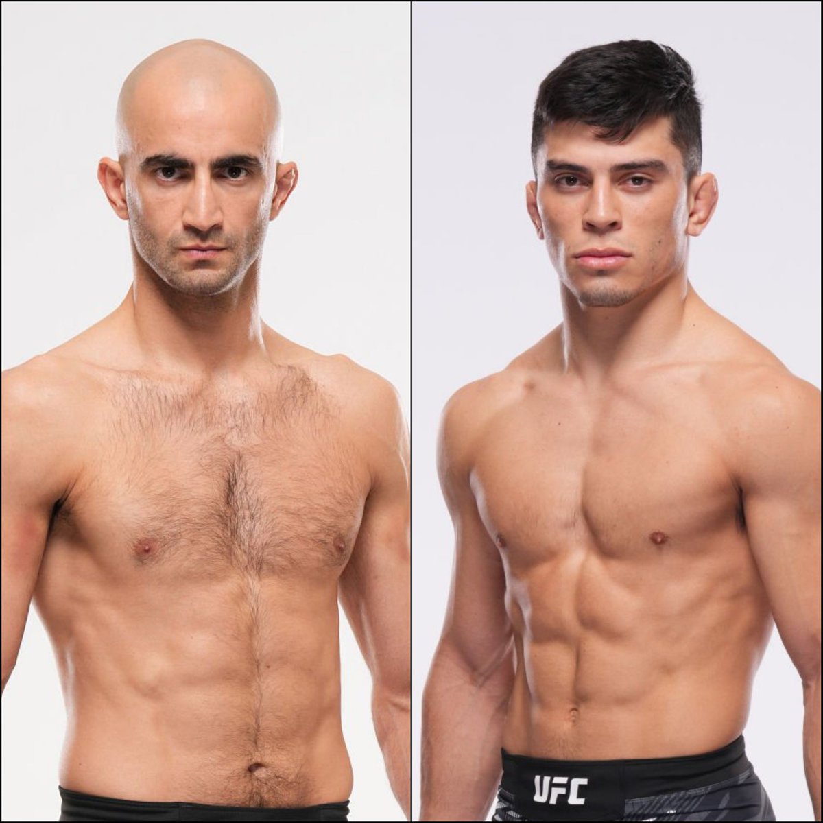 Marcel Dorff 🇳🇱🇮🇩 tweet media