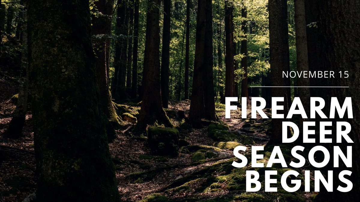 Firearm deer season is underway in Michigan. 🌲 Good luck to all the hunters in our state! Please be extra cautious of deer running across the roads this season.