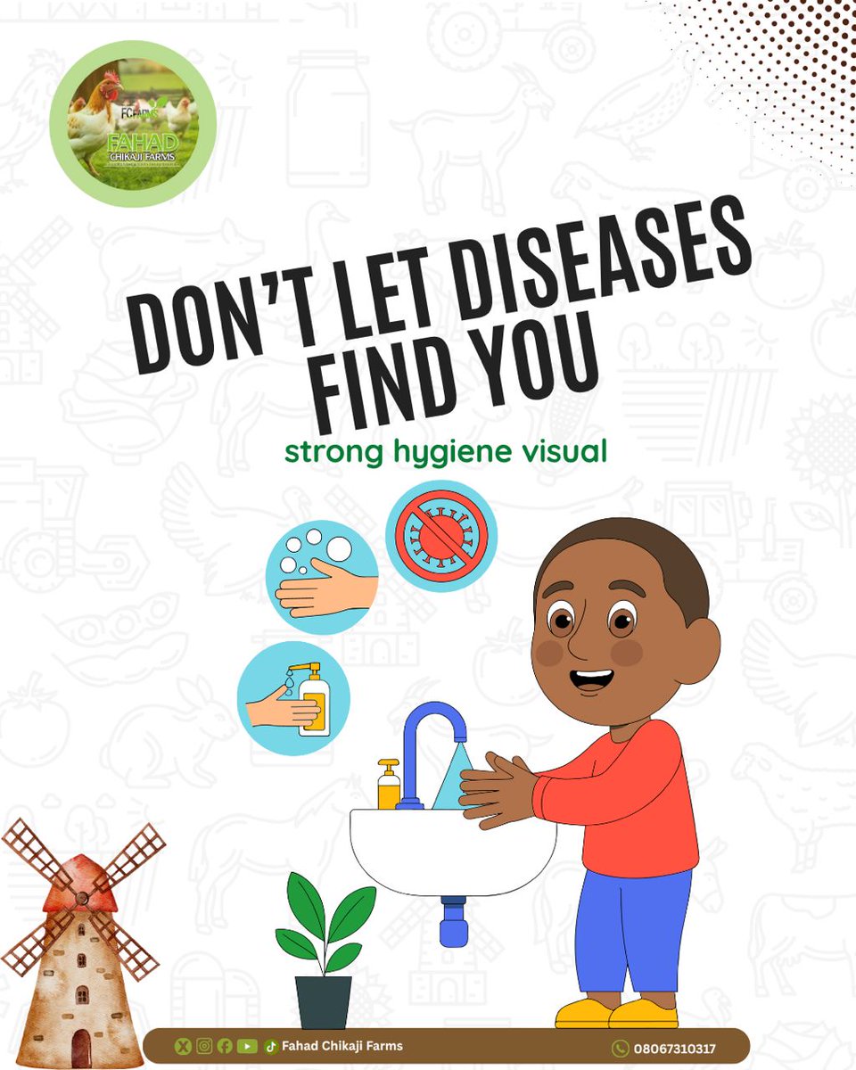 ahmedfahad007's tweet image. Diseases don’t announce their arrival — your hygiene does.
A single careless visitor or dirty shoe can cost you months of effort.
Disinfect your farm. Restrict visitors. Create routines.
Clean hands, clean boots, clean profits.
 #BiosecurityMatters #FarmSafe #FahadChikajiFarms